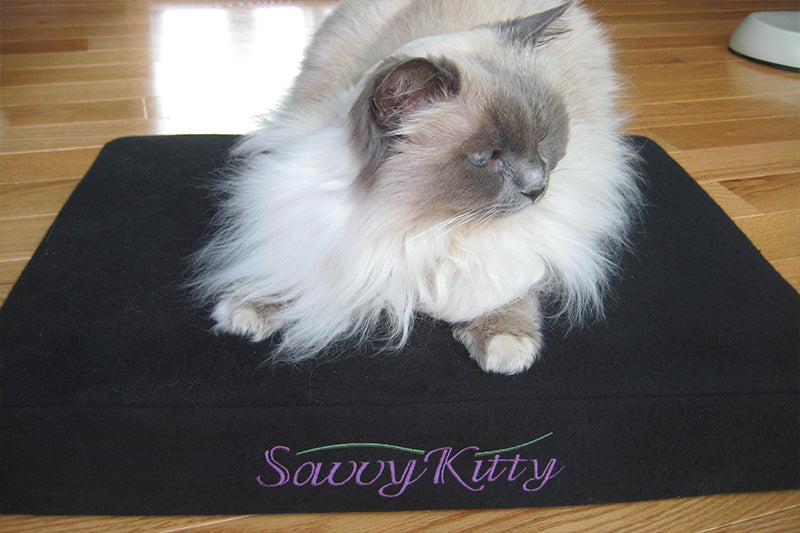 Organic Cat Bed by Savvy Rest